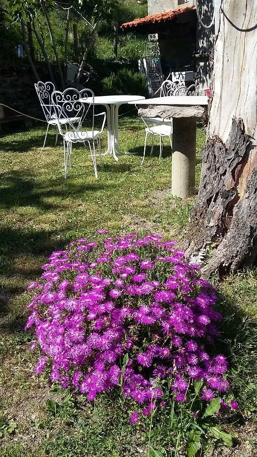 Ponte Dei Leoni Villa Montecreto